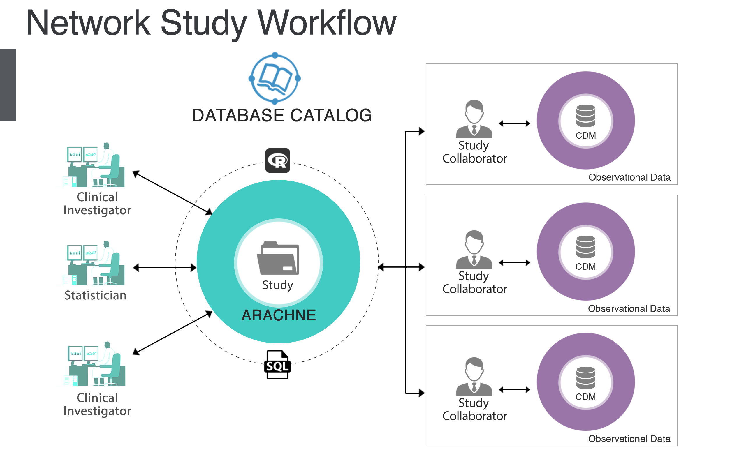 The ARACHNE Network Study Process.