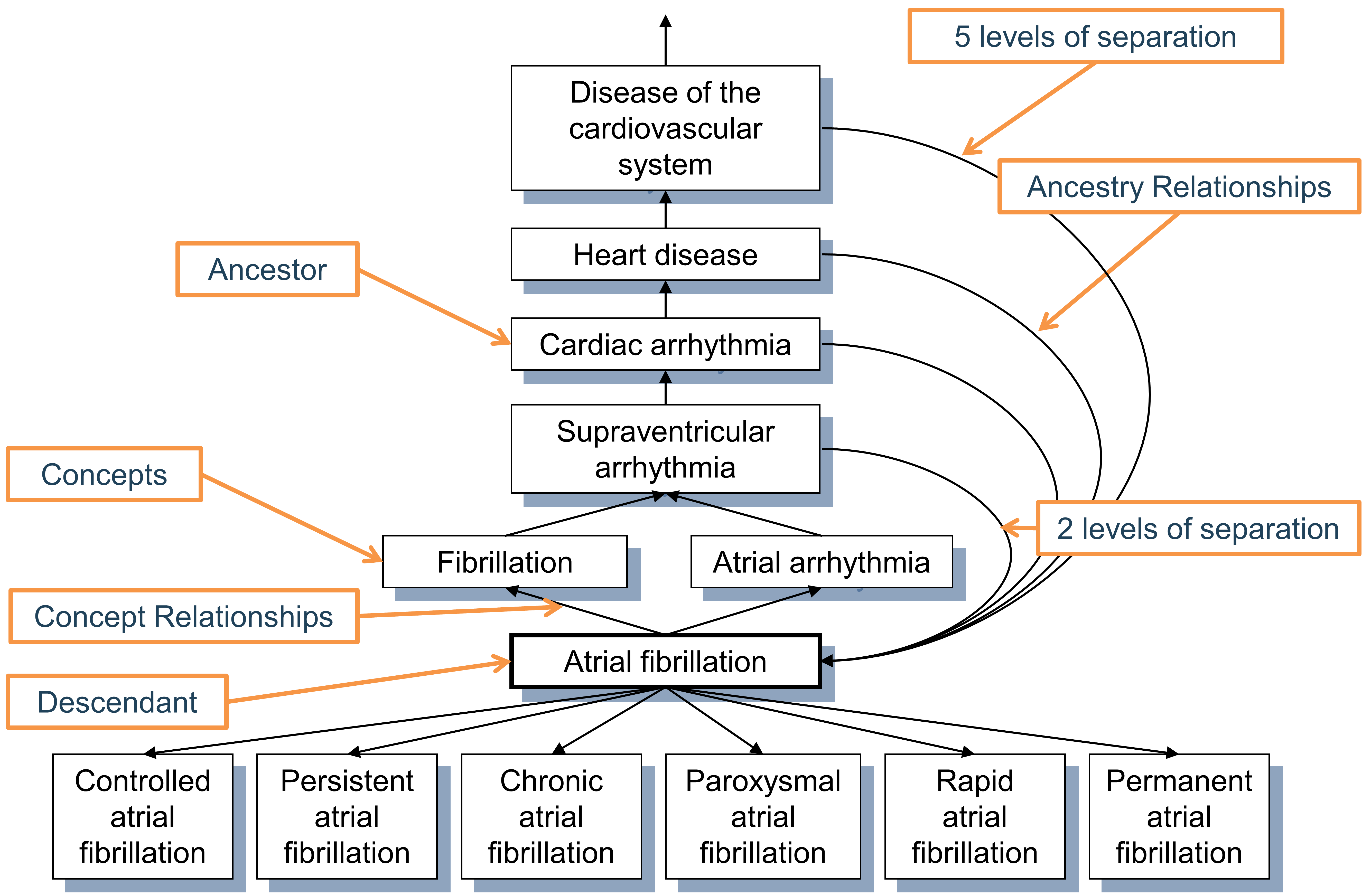 Hierarchy of the condition “Atrial fibrillation.” First degree ancestry is defined through “Is a” and “Subsumes” relationships, while all higher degree relations are inferred and stored in the CONCEPT_ANCESTOR table. Each concept is also its own descendant with both levels of separation equal to 0. 