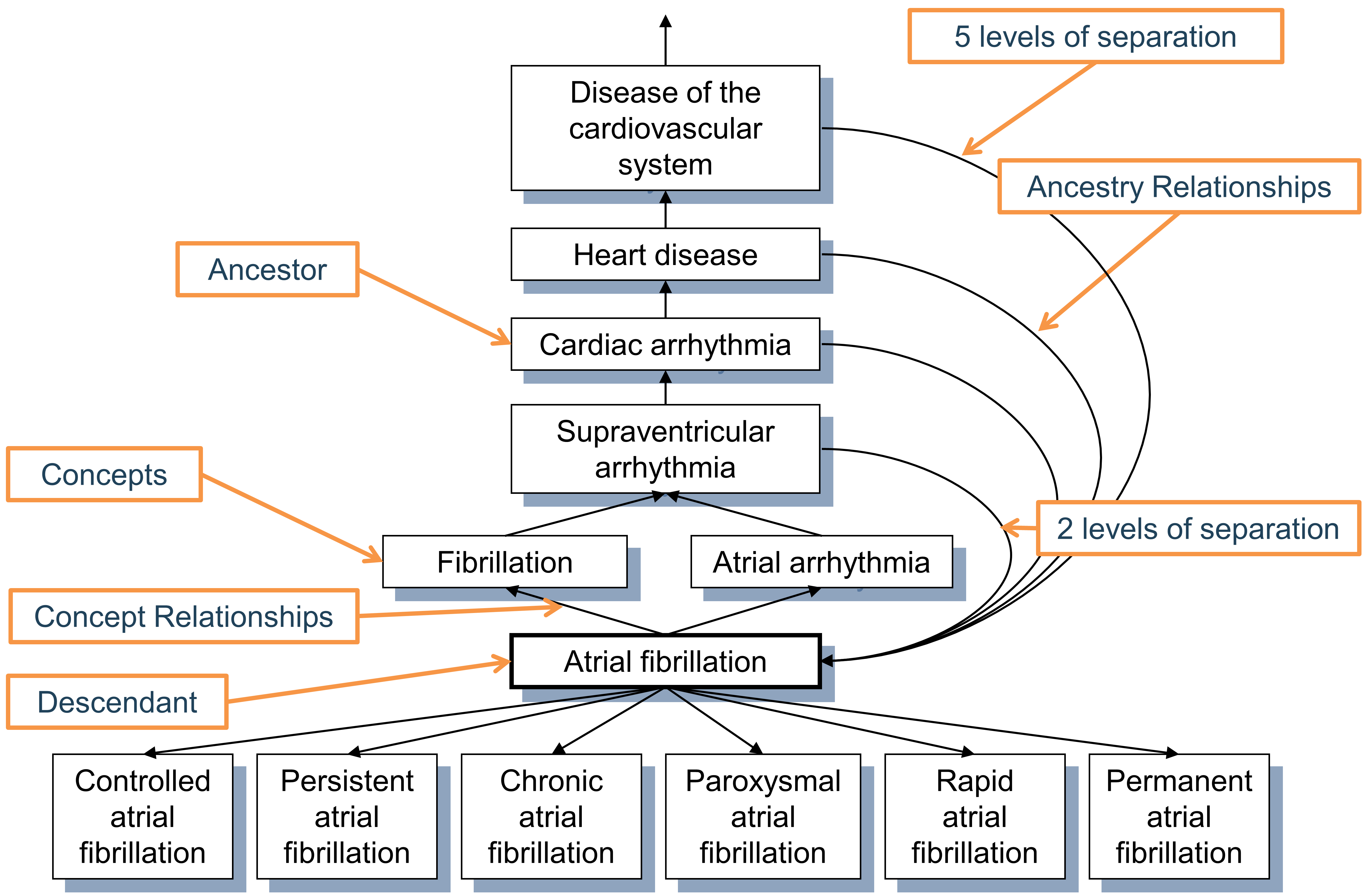Hiérarchie de la condition “Fibrillation auriculaire.” La parenté de premier degré est définie par les relations “Est un” et “Subsume”, tandis que toutes les relations de degré supérieur sont déduites et stockées dans la table CONCEPT_ANCESTOR. Chaque concept est également son propre descendant avec les deux niveaux de séparation égaux à 0.