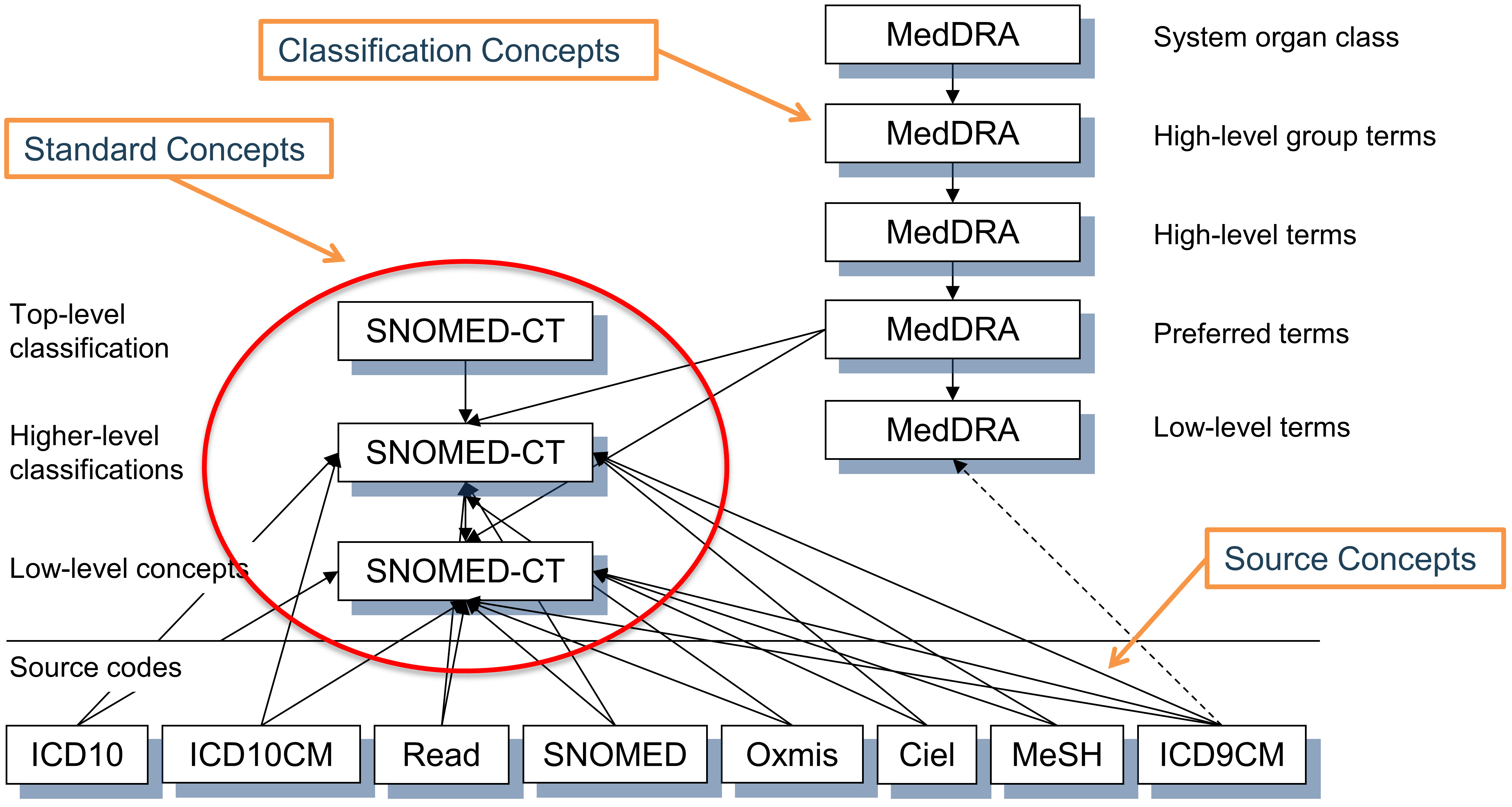 条件ドメインにおける標準、非標準ソースおよび分類概念とその階層関係。SNOMEDはほとんどの標準条件概念に使用されており（いくつかの腫瘍関連概念はICDO3から派生）、MedDRA概念は階層分類概念に使用されており、他のすべての語彙は非標準またはソース概念を含み、階層には参加しません。